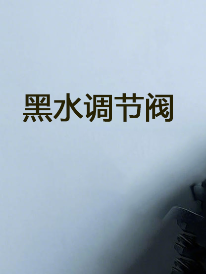 黑水調(diào)節(jié)閥  Black water regulating valve